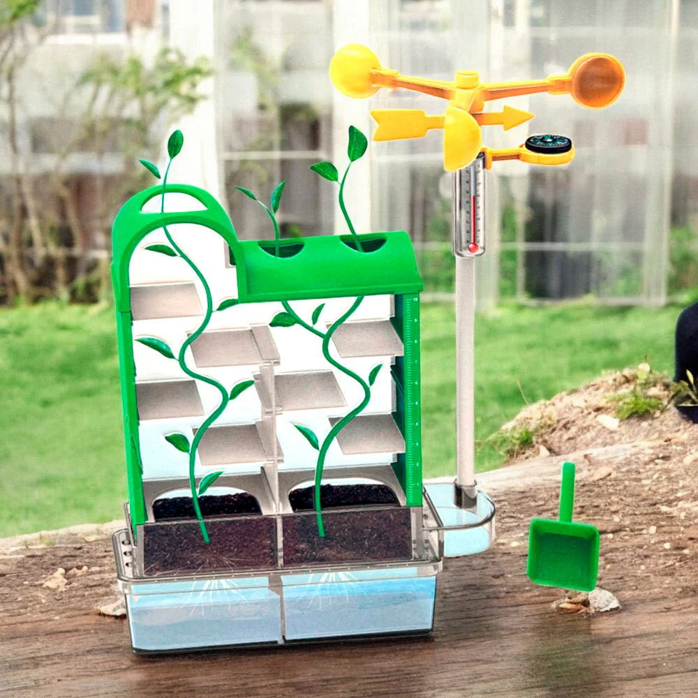 Miniatura 1